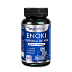 Enoki Ciupera de Aur, 60 capsule, DVR Pharm