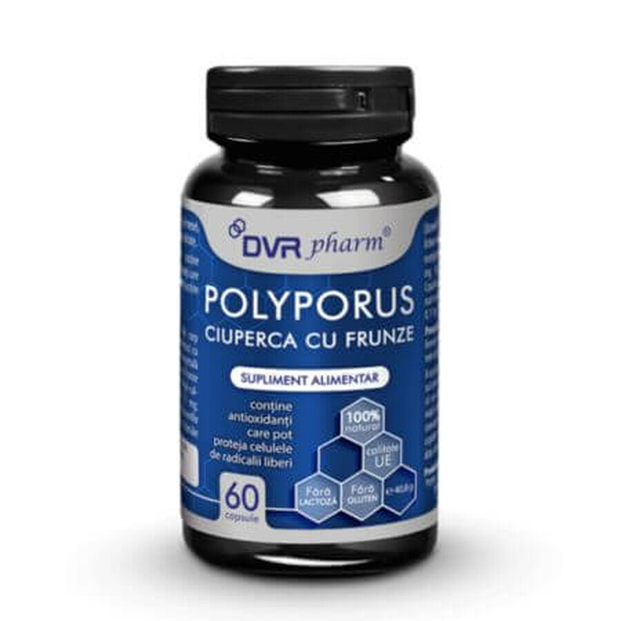 Polyporus paddenstoel met bladeren, 60 capsules, DVR Pharm