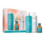 Repair Spring Haarherstelset, Moroccanoil