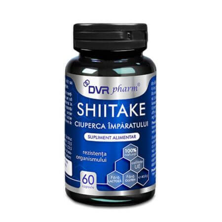 Fungo Shitake Imperatore, 60 capsule, DVR Pharm