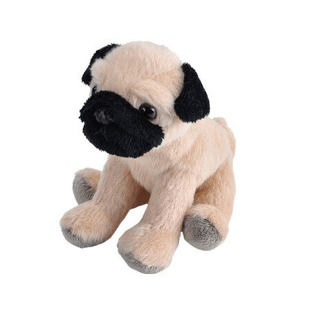 Jouet en peluche Pug Puppy, 13 cm, Wild Republic