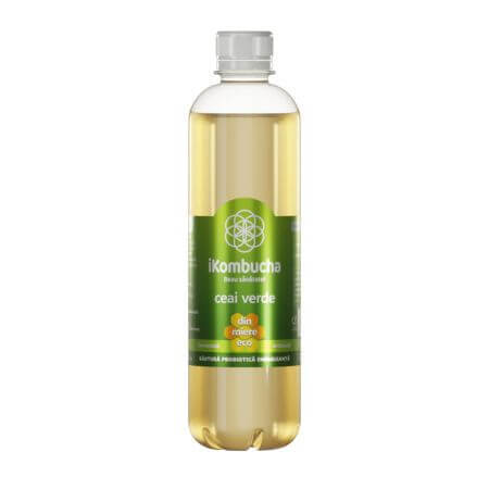 Fermentiertes Grüntee-Getränk, 500ml, iKombucha