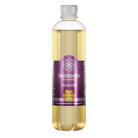 Fermentiertes Getränk mit Lavendel, 500ml, iKombucha