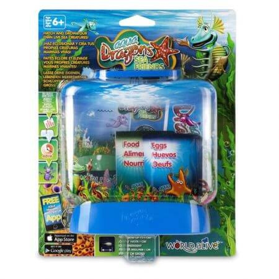 Set educativo básico Stem Sea Friends, Aqua Dragons