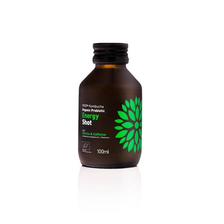 Tè fermentato biologico con probiotici Kombucha Shot Energy, 100 ml, Vigo