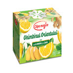 Thé au gingembre et au citron Moments magiques, 20 sachets, Fares