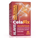 CelaFix, 30 plantaardige capsules, Alavis Maxima