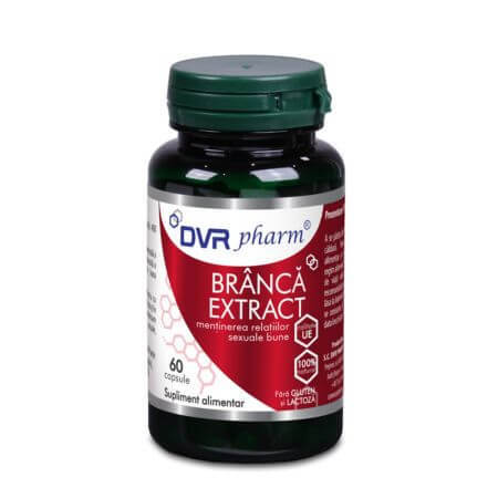 Estratto di uva ursina, 60 capsule, DVR Pharm