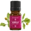 Activ Cosmetic Acmella-Extrakt (M-1267), 5 ml, Mayam