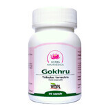 Gokhru, mannelijk tonicum, 60 capsules, Ayurvedisch kruid