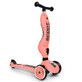 Highwaykick 2-in-1 cabrio kinderstep, 1 - 5 jaar, Perzik, Scoot &amp;amp; Ride