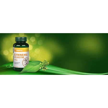 Gymnema Sylvestre 400 mg, 90 capsules, VitaKing