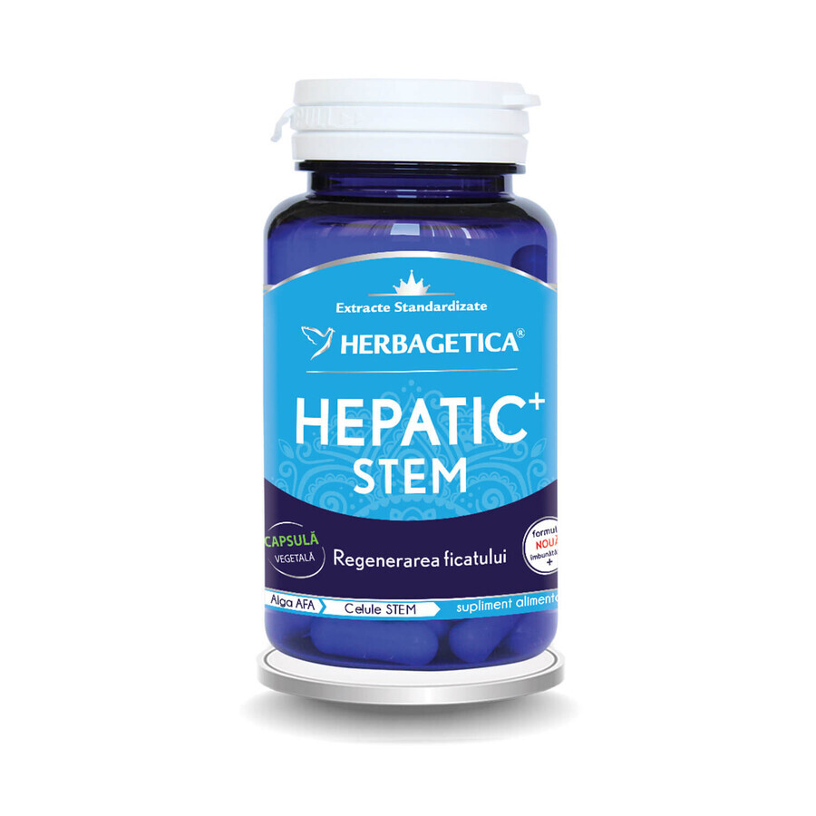 Hepatic Stem, 60 capsule, Herbagetica