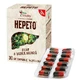 Bio Vitality