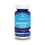 Immuniteitsstam, 60 capsules, Herbagetica