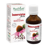 Imunorezistan Forte, 50 ml, Plantenextrakt