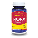 Inflamed Curcumin95, 60 capsules, Herbagetica