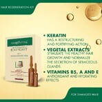 Haarregeneratie Kit Gerovital Expert Behandeling, 10 flacons x 10 ml, 10 flacons x 5 ml , Farmec