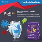 Korill Kids, 30 oursons gélifiés, Sanience