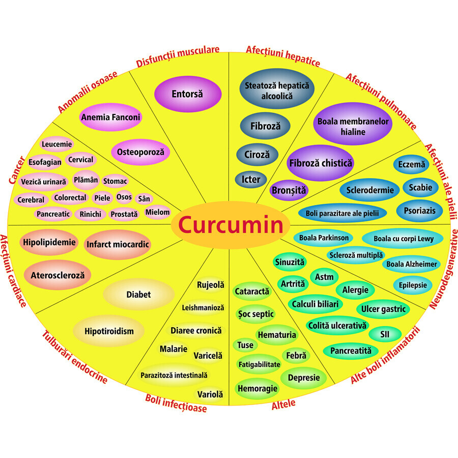 Lipozomal Curcumin 95%, 60 vegetarian capsules, Hypernatura