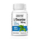 L-Theanine 100 mg, 30 capsule, Zenyth