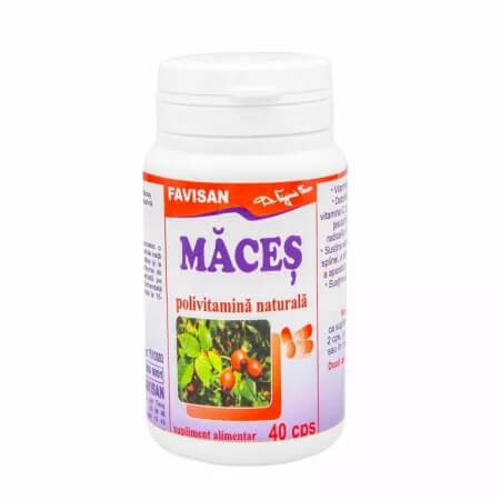 Maces, 40 capsules, Favisan