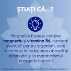 MagneVie Express Magnesium & B6 voor energie, 20 zakjes, zonder water