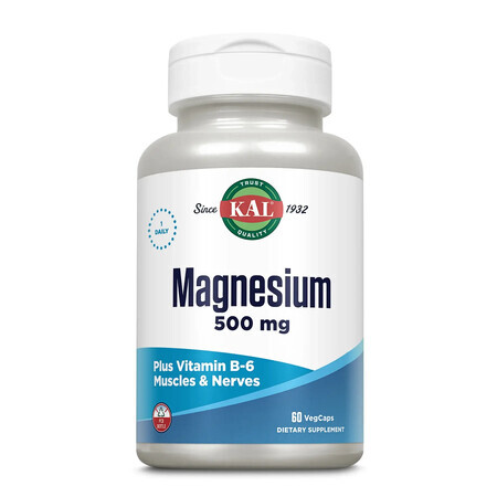 Magnésium 500mg Kal, 60 gélules, Secom