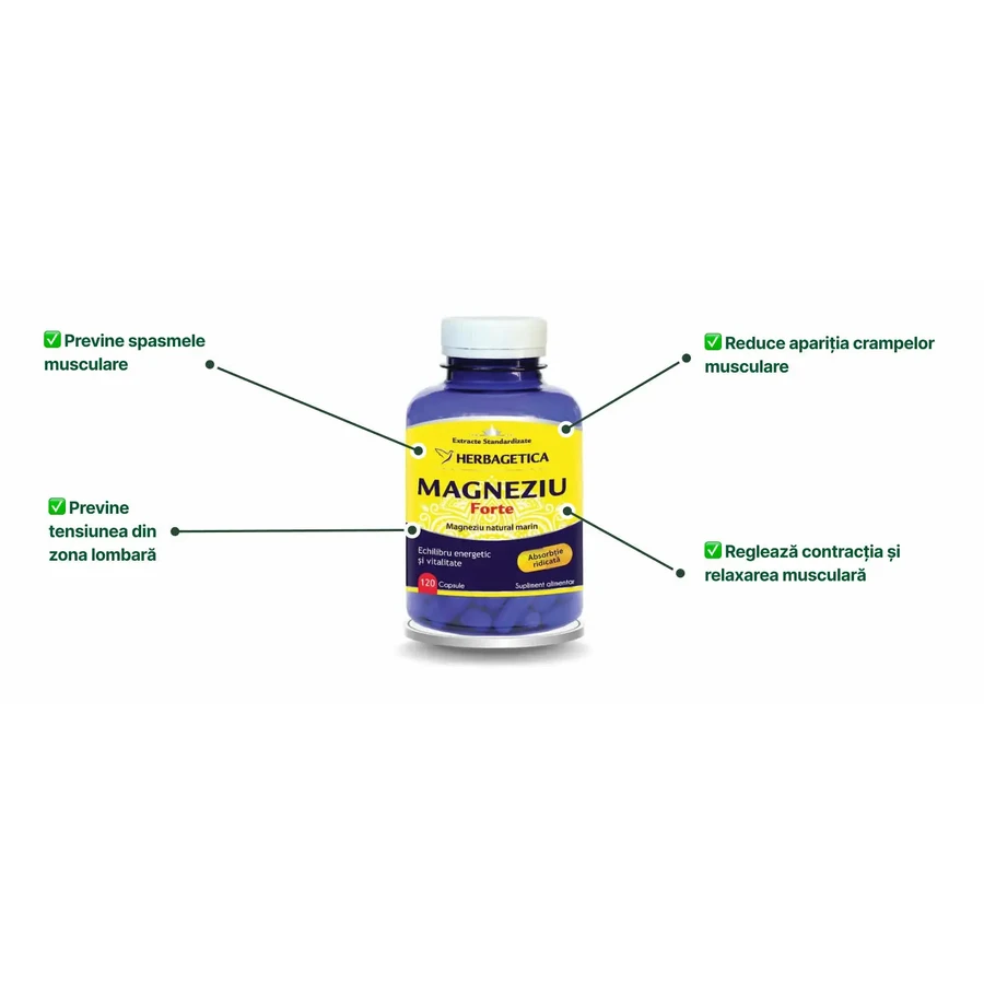 Organic Magnesium with Vitamin B complex, 120 Capsules, Herbagetica
