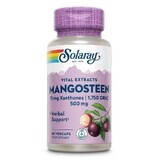 Mangosteen 500mg Solaray, 60 capsules, Secom