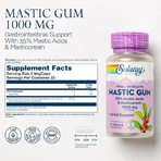 Mastic Gum 500 mg Solaray, 45 capsule, Secom
