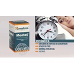 Mentat, 50 comprimés, Himalaya