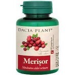 Merisor, 60 tabletten, 1+1, Dacia Plant