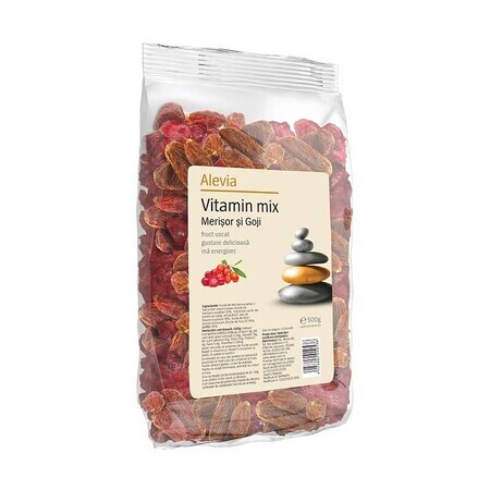 Heidelbeer-Goji-Mix, 500 g, Alevia