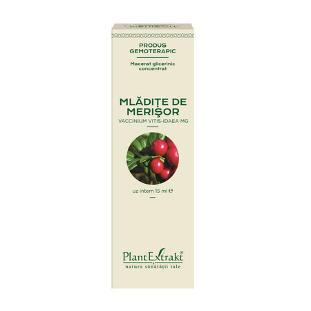 Mlădițe de Merișor, 15 ml, Plant Extrakt