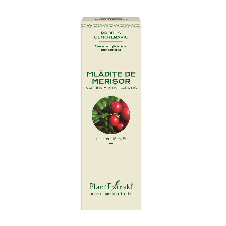 Mlădițe de Merișor, 15 ml, Plant Extrakt