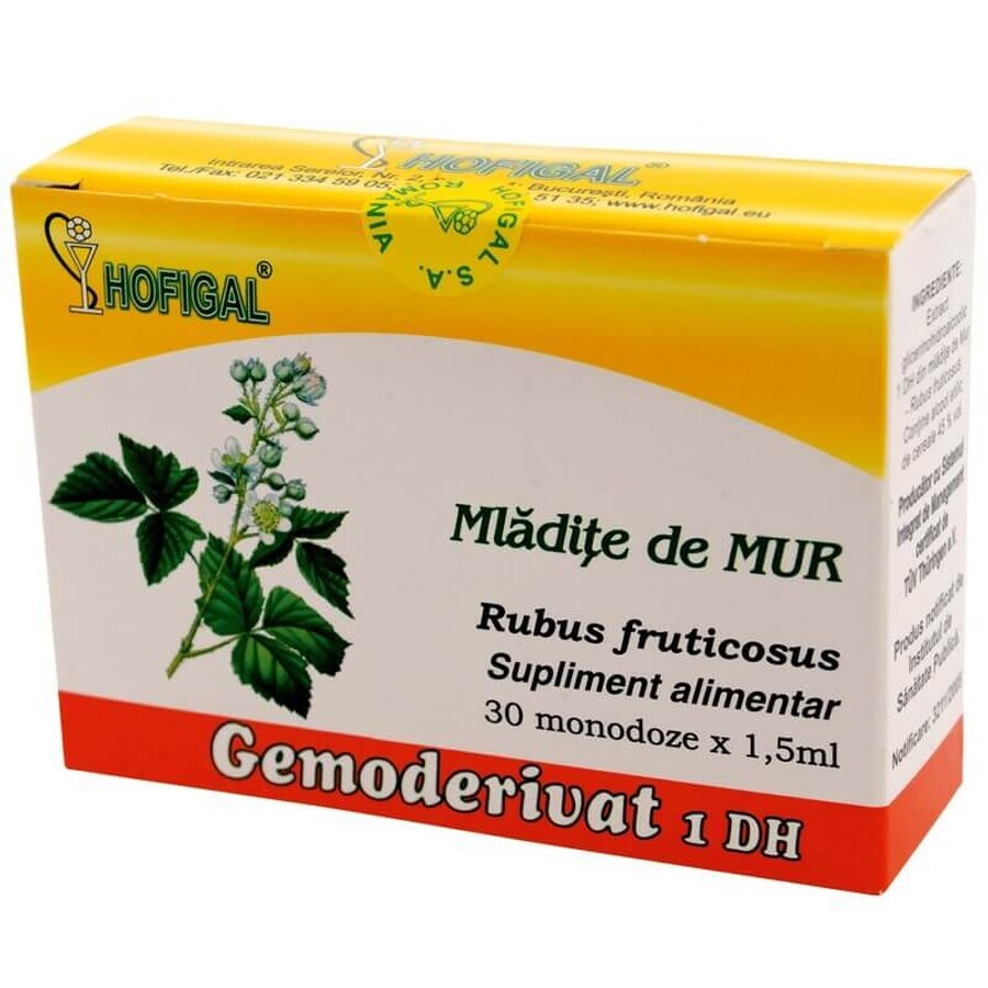 Muurknop Gemoderivat, 30 doses, Hofigal