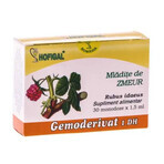 Zmeur Gemoderivat, 30 eenmalige doses, Hofigal