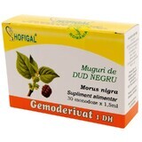 Black Dud Bud Gemoderivat, 30 eenmalige doses, Hofigal