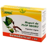 Black Poplar Buds, 30 single doses, Hofigal
