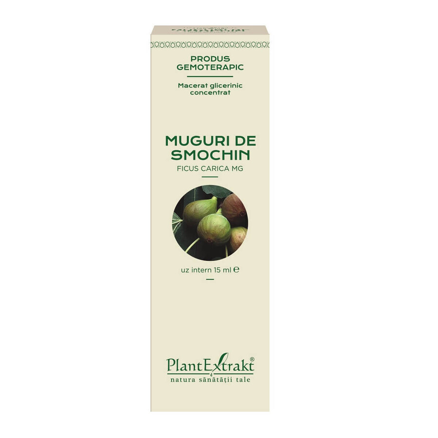 Muguri de smochin, 15 ml, Plant Extrakt