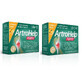 ArtroHelp Forte pakket, 28+14 sachets, Zenyth