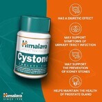 Cystone Package, 60 + 60 comprimés, Himalaya (10% de réduction)