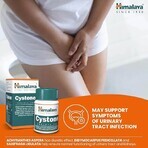 Cystone Package, 60 + 60 comprimés, Himalaya (10% de réduction)