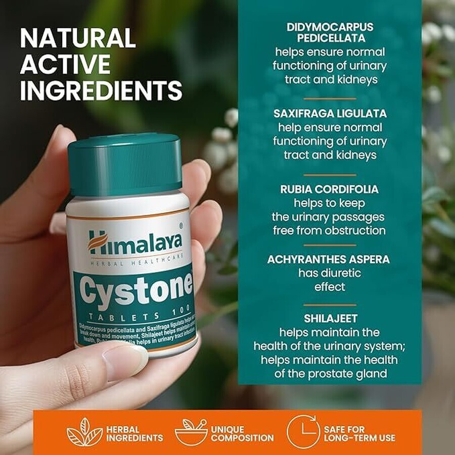 Cystone Package, 60 + 60 comprimés, Himalaya (10% de réduction)