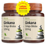 Pack Ginkana Ginkgo Biloba 120mg, 30 tablets, Alevia (1+1)