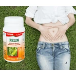 Pelin, 70 capsules, Favisan
