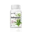Andrographis 386 mg, 30 plantaardige capsules, Zenyth