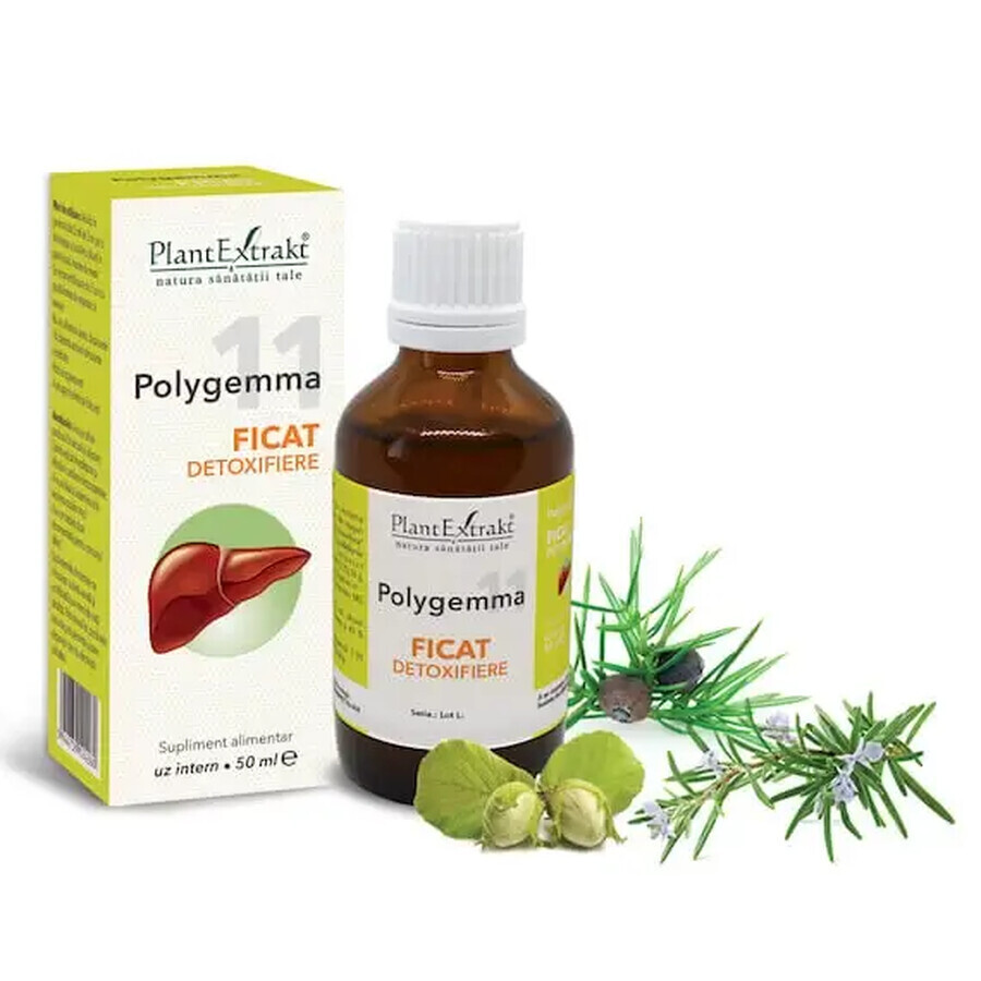 Polygemma 11 Ficat detoxifiere, 50 ml, Plant Extrakt