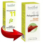 Polygemma 11 Lever Detox, 50 ml, Plantenextrakt